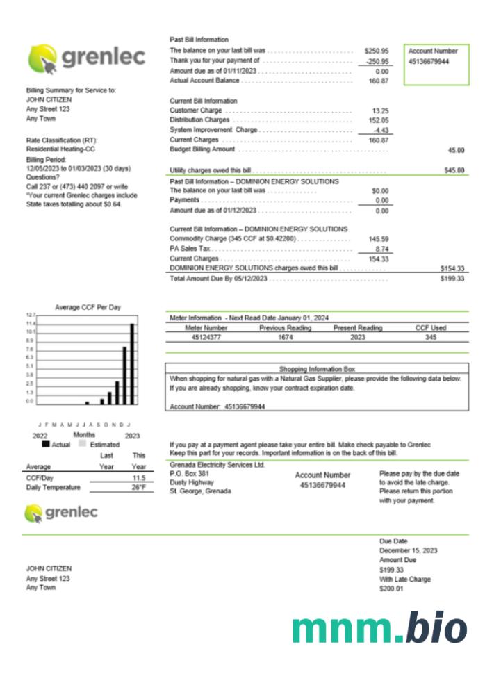 Grenada Electricity Services rachunek za media Word i PDF template